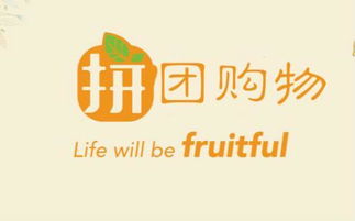 拼多多新手开店教程 拼多多开店八个技巧